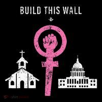Build This Wall Separate Church And State Toddler Hoodie thumb 2