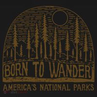 Born To Wander Funny Gift America's National Park Funny Gift Women's Hoodie thumb 2