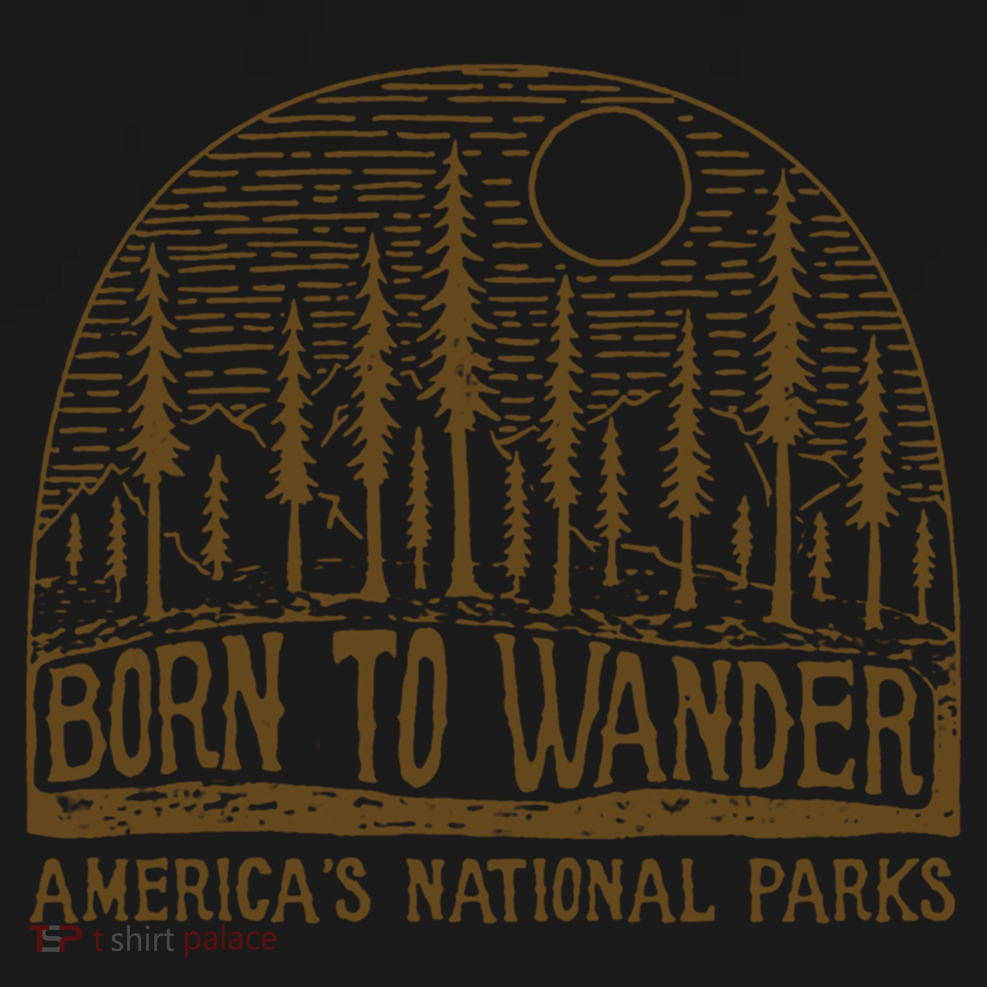 Born To Wander Funny Gift America's National Park Funny Gift Women's Hoodie