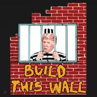 Build This Wall Lock Him Up Anti Trump Impeachment 45 Coaster thumb 2