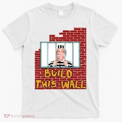 Build This Wall Lock Him Up Anti Trump Impeachment 45 T-Shirt