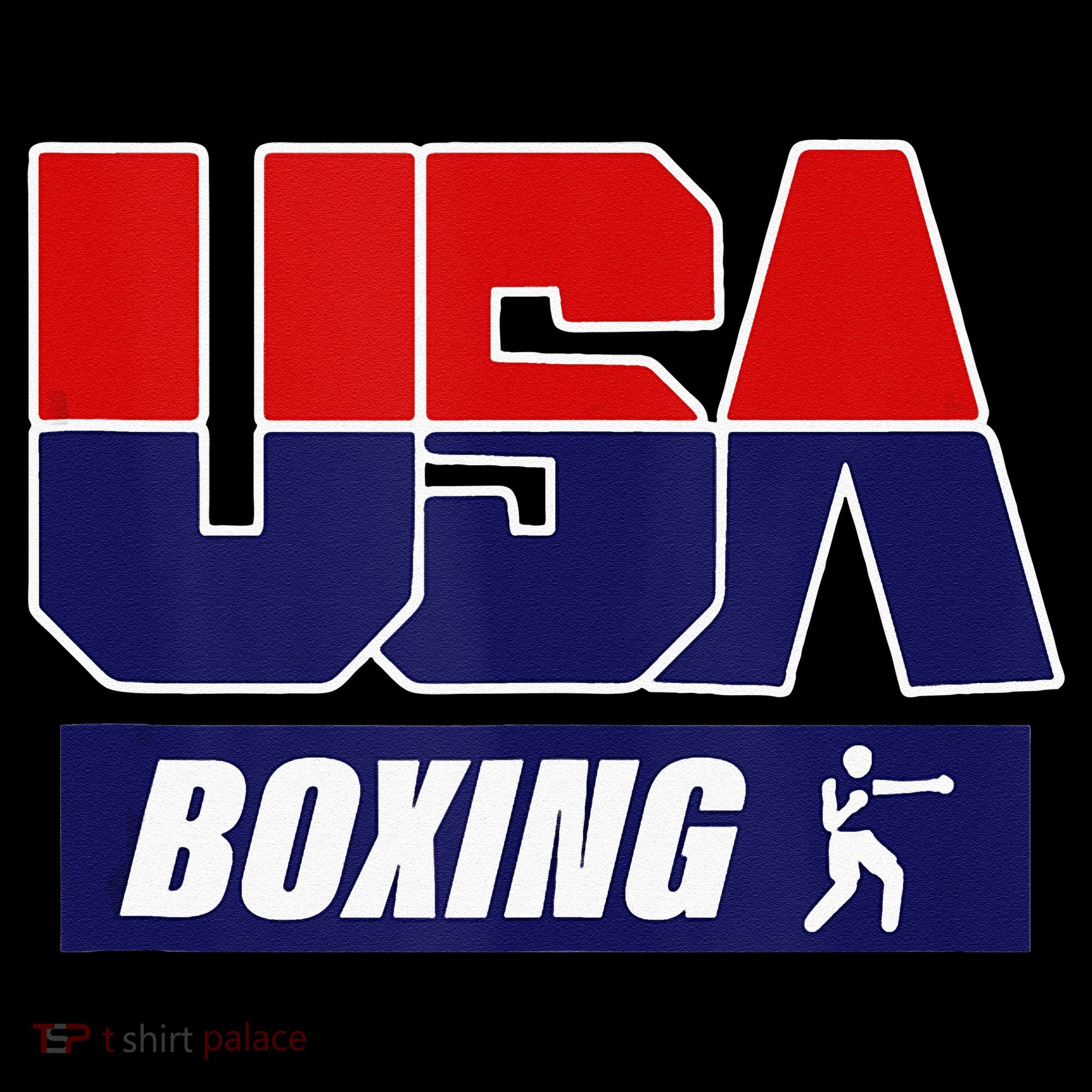 Boxing USA Toddler Hoodie