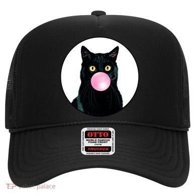 Bubble Cat Hat
