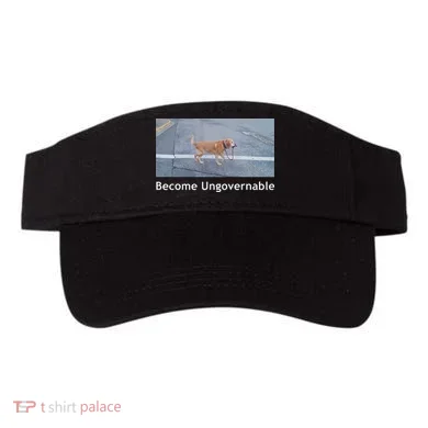 Visor