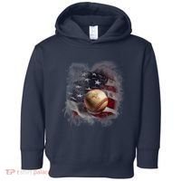 Baseball Usa Flag Toddler Hoodie thumb 0