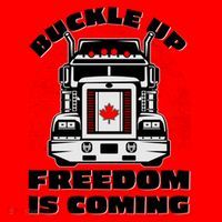 Buckle Up Freedom Is Coming Candian Truckers Santa Hat thumb 1