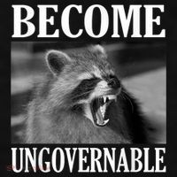 Become Ungovernable Funny Raccoon Face Meme Ladies PosiCharge Tri-Blend Wicking Tank thumb 2