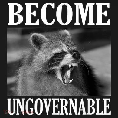 Become Ungovernable Funny Raccoon Face Meme Coaster