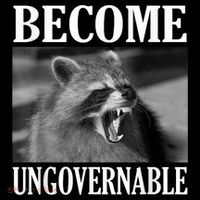 Become Ungovernable Funny Raccoon Face Meme Coaster thumb 2