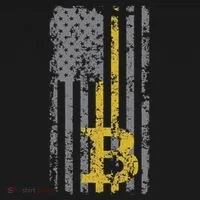 Bitcoin Usa Flag Distressed Digital Currency Lover Women's T-Shirt thumb 6
