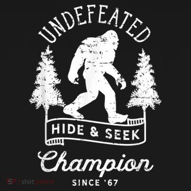 Bigfoot Undefeated Hide And Seek Champion Distressed Kids Hoodie