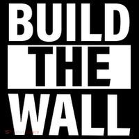 Build The Wall Box Logo Polo thumb 3