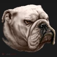 Bulldog Sweatshirt thumb 3