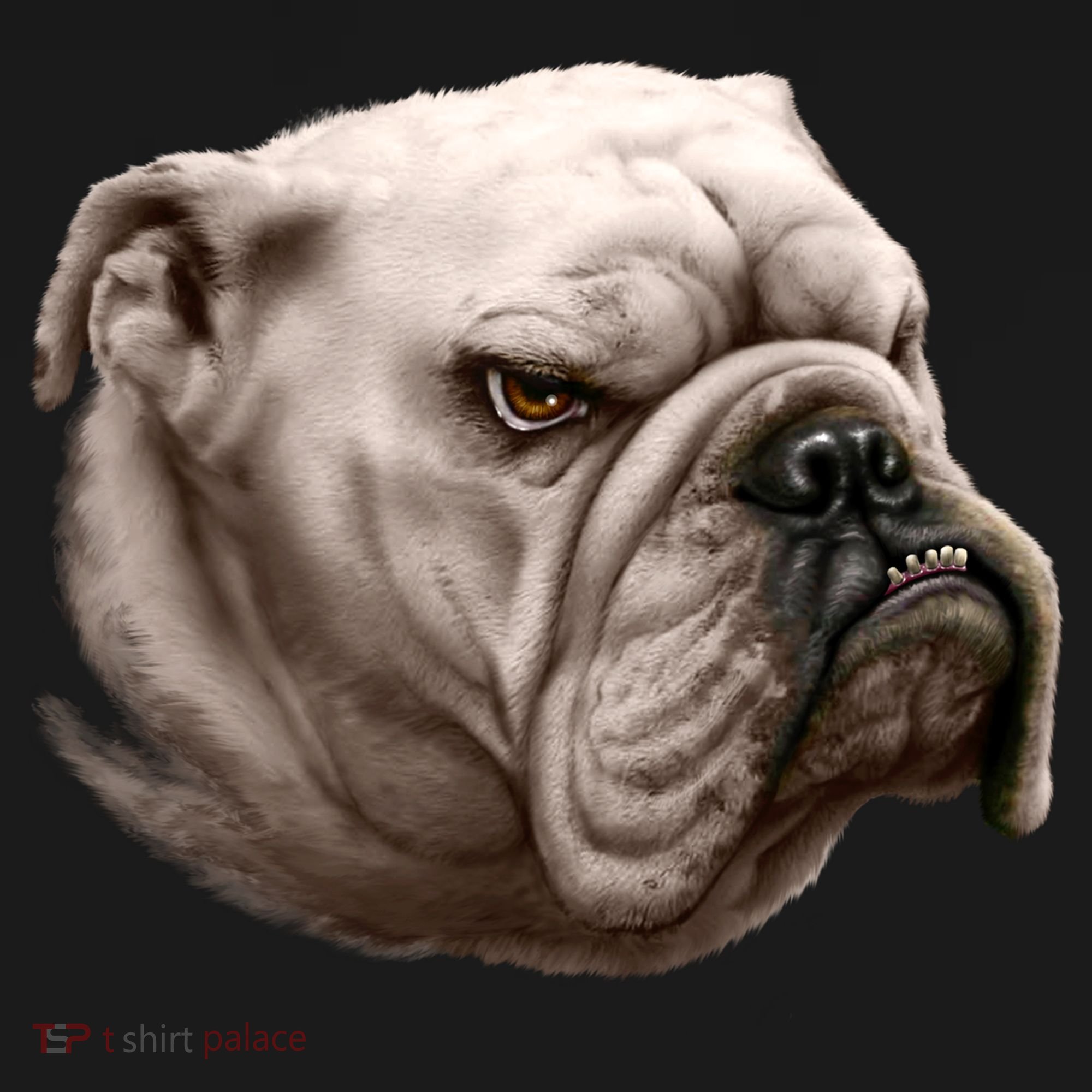 Bulldog Button