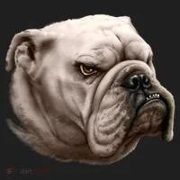 Bulldog Tumbler thumb 3