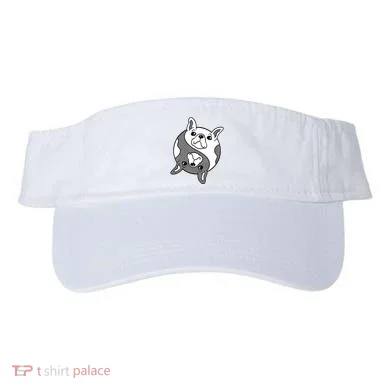 Visor