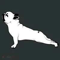 Bulldog Yoga Pose Women's T-Shirt thumb 6