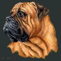 Bullmastiff Canine Dog Infant Baby Jersey Bodysuit thumb 2
