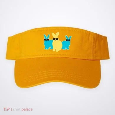 Visor