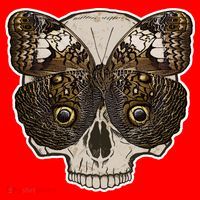 Butterfly Skull Moth Santa Hat thumb 1