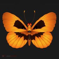 Butterfly With Face Halloween Pumpkin Doggie Tank thumb 4