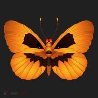 Butterfly With Face Halloween Pumpkin Beanie thumb 2