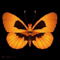 Butterfly With Face Halloween Pumpkin Baby Bodysuit thumb 2