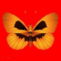 Butterfly With Face Halloween Pumpkin Santa Hat thumb 1