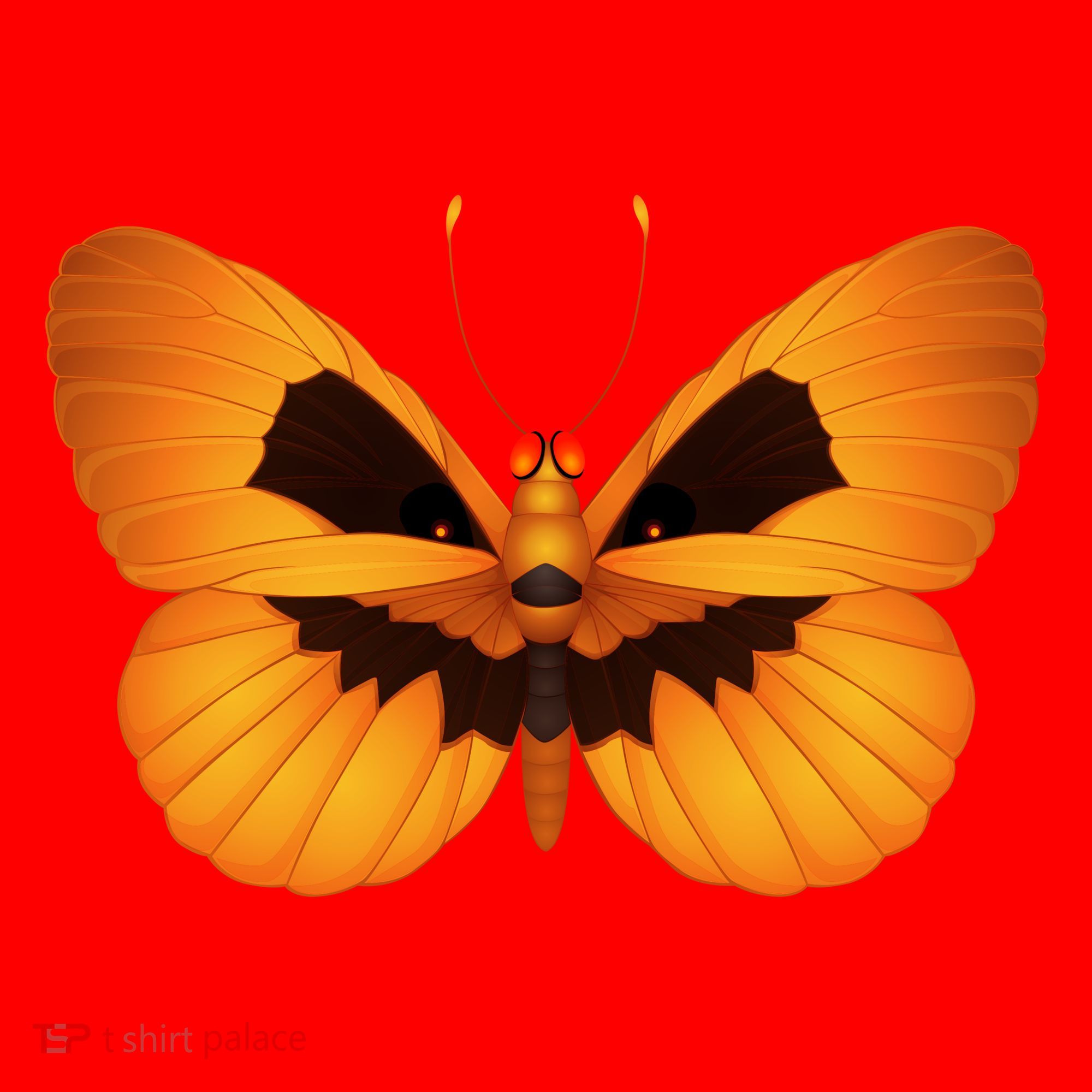 Butterfly With Face Halloween Pumpkin Santa Hat