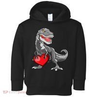 Boy Valentines Day Trex Dinosaur I Steal Hearts Toddler Hoodie thumb 0