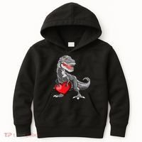 Boy Valentines Day Trex Dinosaur I Steal Hearts Kids Hoodie thumb 0