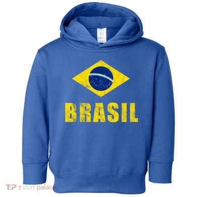 Brasil Vintage Flag Sport Toddler Hoodie