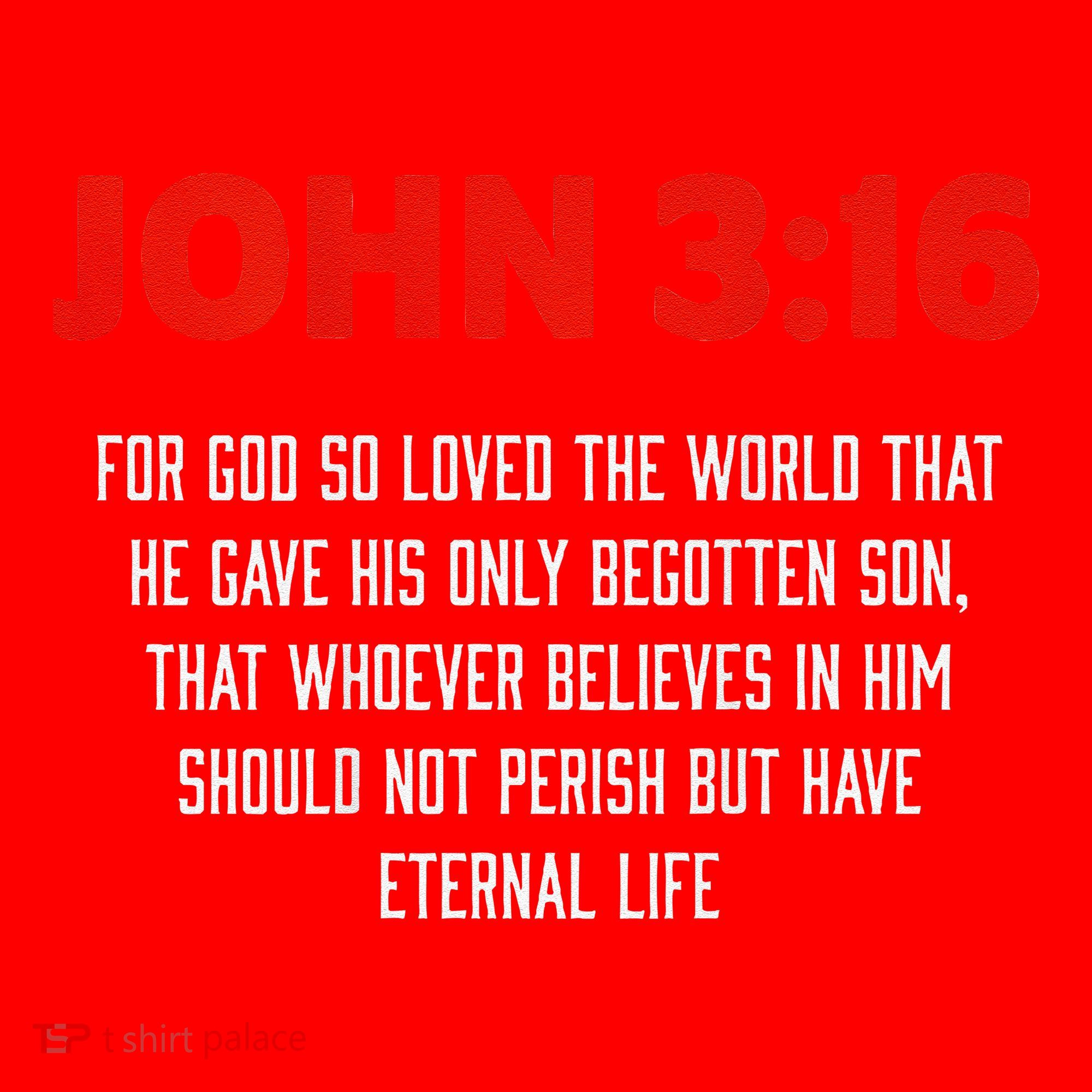 Bible Verse John 3 16 Christian Message About GodS Love Santa Hat