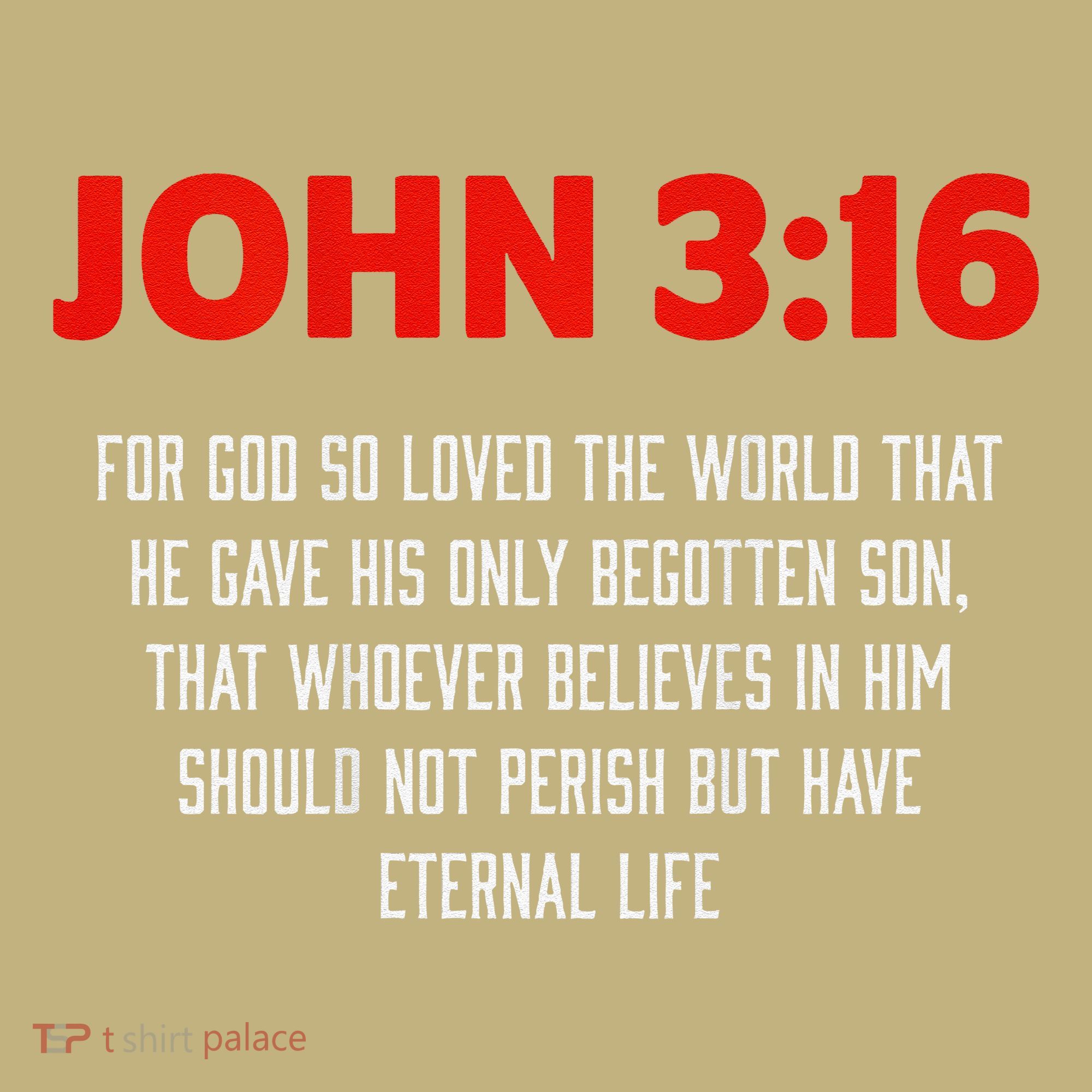 Bible Verse John 3 16 Christian Message About GodS Love Polo