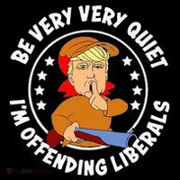 Be Very Very Quiet IM Offending Liberals Women's Hoodie thumb 2