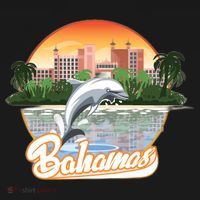 Bahamas With A Playing Dolphin And Hotels Women's Hoodie thumb 2