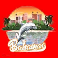 Bahamas With A Playing Dolphin And Hotels Santa Hat thumb 1