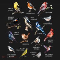 Bird Watching Bird Watcher Bird Lover Birder Birding Nerd Long Sleeve Shirt thumb 2