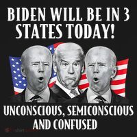 Biden Will Be In 3 States Today Funny Joe Biden Anti Biden Visor thumb 3