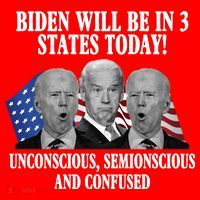 Biden Will Be In 3 States Today Funny Confused Joe Biden Polo thumb 2