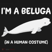 Beluga Whale Costume I'm A Beluga In A Human Costume Funny Toddler Hoodie thumb 2