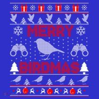 Bird Watching Christmas Birding Merry Birdmas Ugly Sweater Gift Tank Top thumb 6