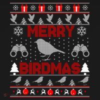 Bird Watching Christmas Birding Merry Birdmas Ugly Sweater Women's Hoodie thumb 2