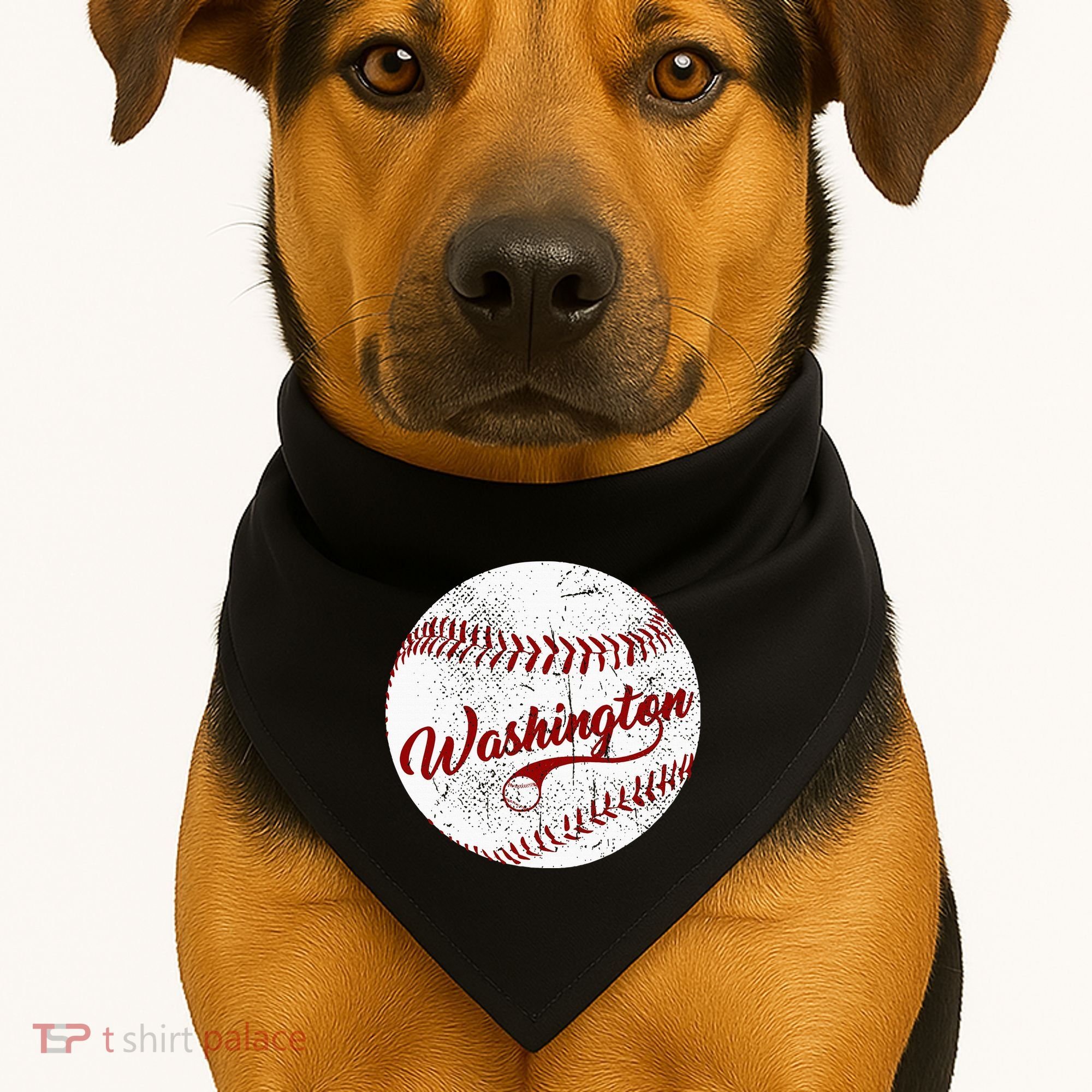 Baseball Washington Dc Team Love Baseball National Pastime USA-Made Doggie Bandana