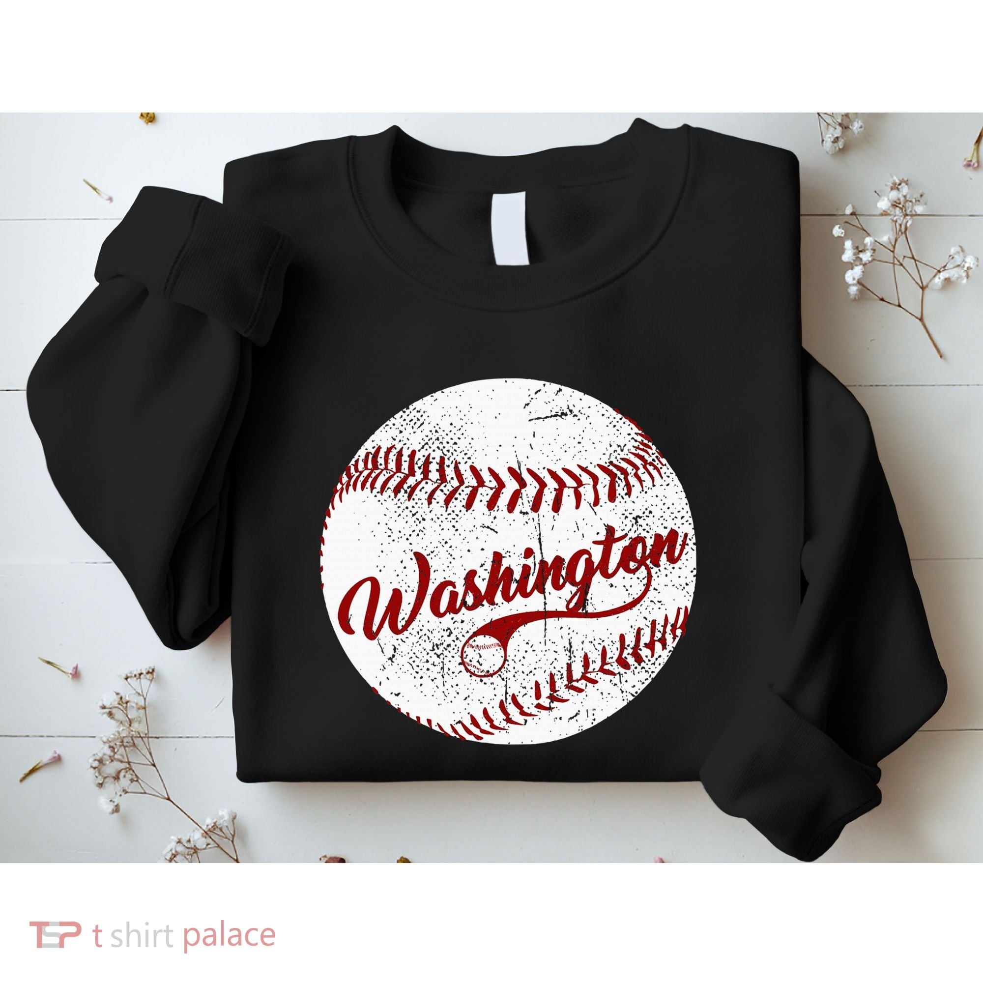 Baseball Washington Dc Team Love Baseball National Pastime Sweatshirt