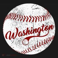 Baseball Washington Dc Team Love Baseball National Pastime Ornament thumb 1
