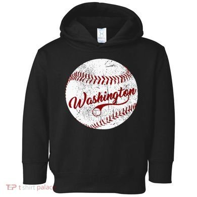 Baseball Washington Dc Team Love Baseball National Pastime Toddler Hoodie