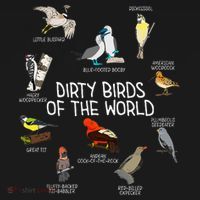Bird Watching Dirty Birds Of The World Funny Birding Ornament thumb 1