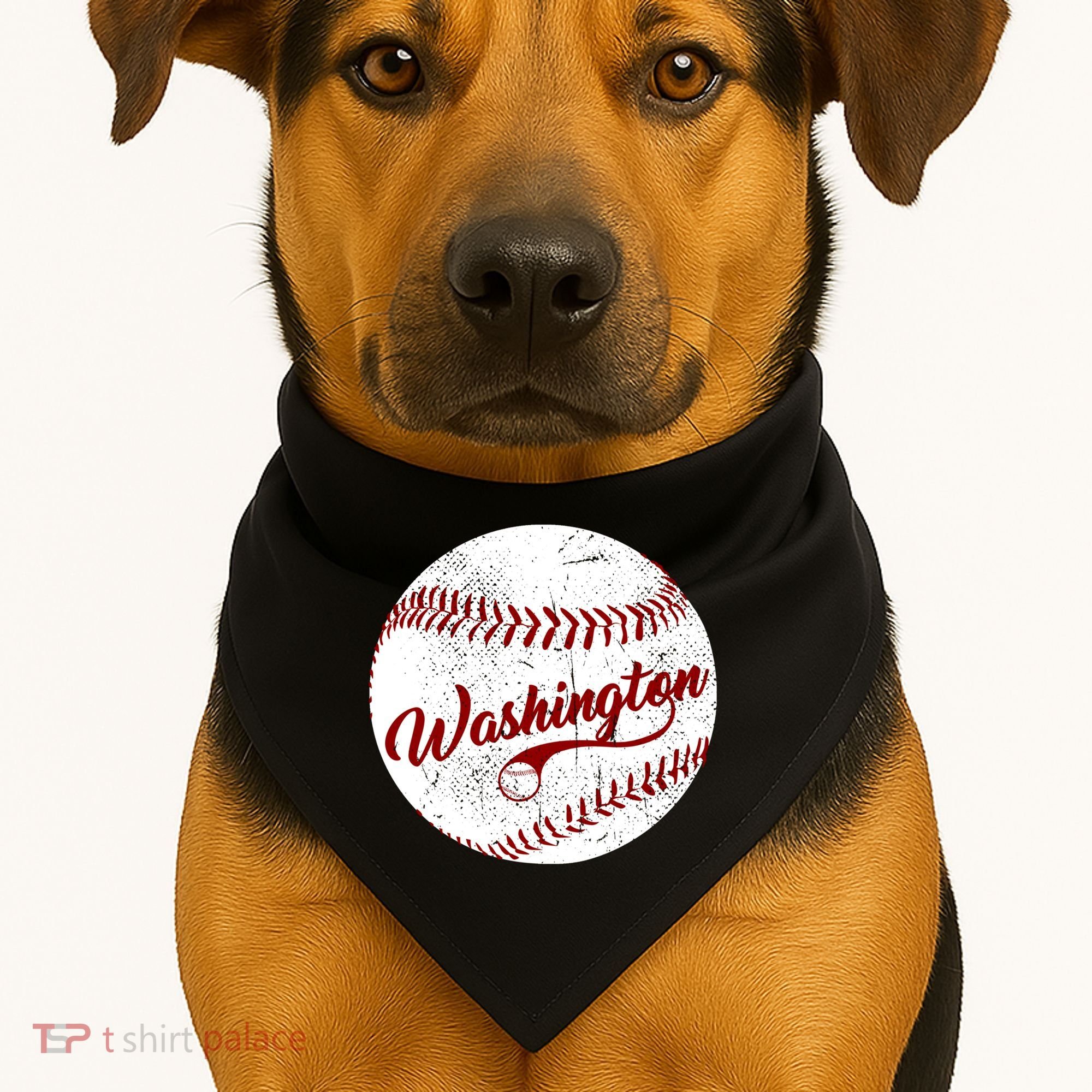Baseball Washington Dc Team Love Baseball National Pastime Gift USA-Made Doggie Bandana