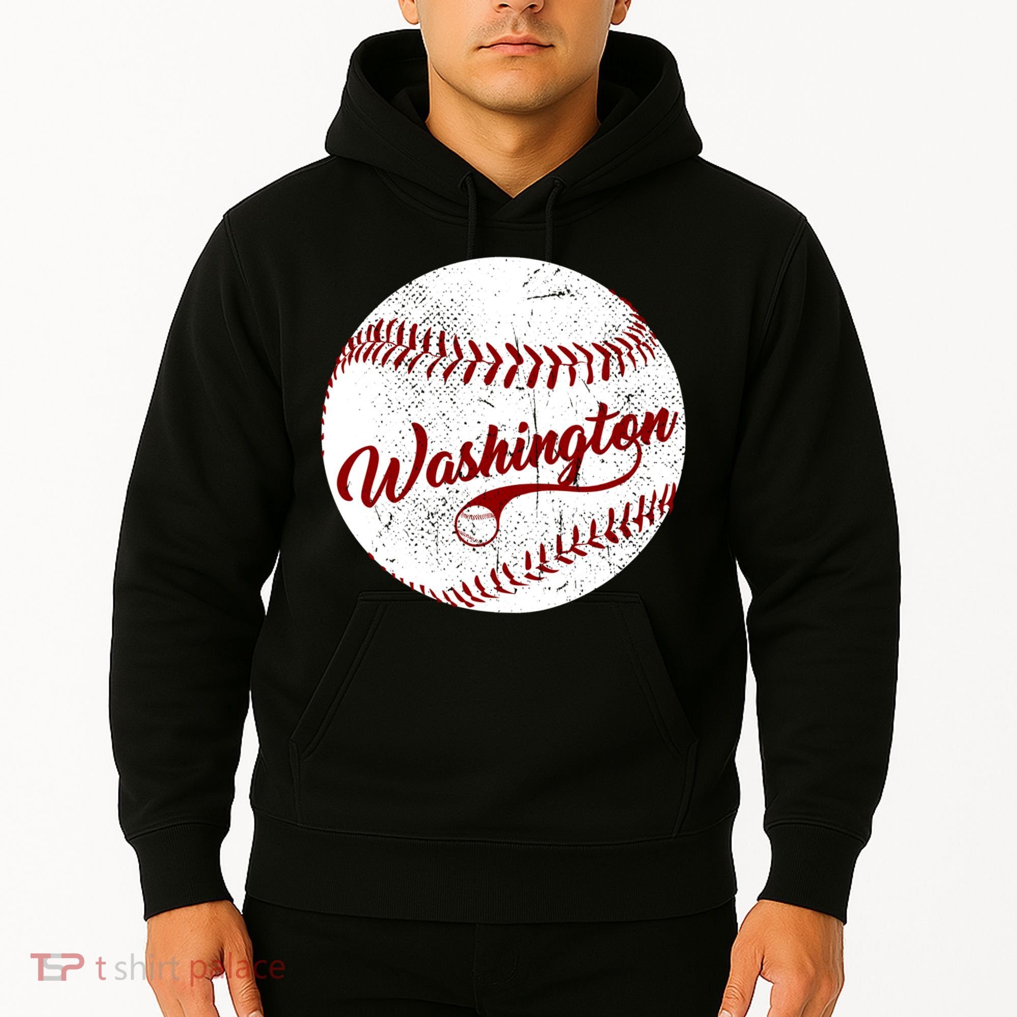 Baseball Washington Dc Team Love Baseball National Pastime Gift Hoodie